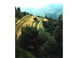 Delphi- the school area (gymnasium). The circular foundation in the centre was a pool.